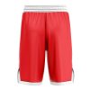 Basketball Shorts back 13 1 - Anime Gifts Store