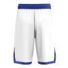 Basketball Shorts back 15 - Anime Gifts Store