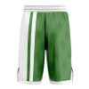 Basketball Shorts back 49 - Anime Gifts Store