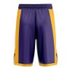 Basketball Shorts back 60 - Anime Gifts Store